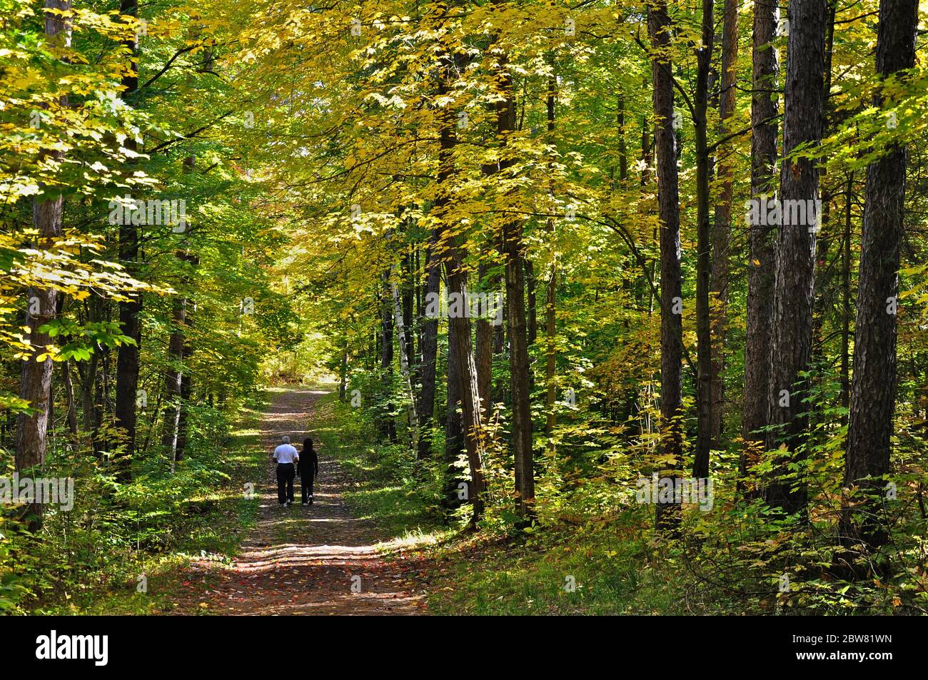 couple walking in the forest in autumn Stock Photo