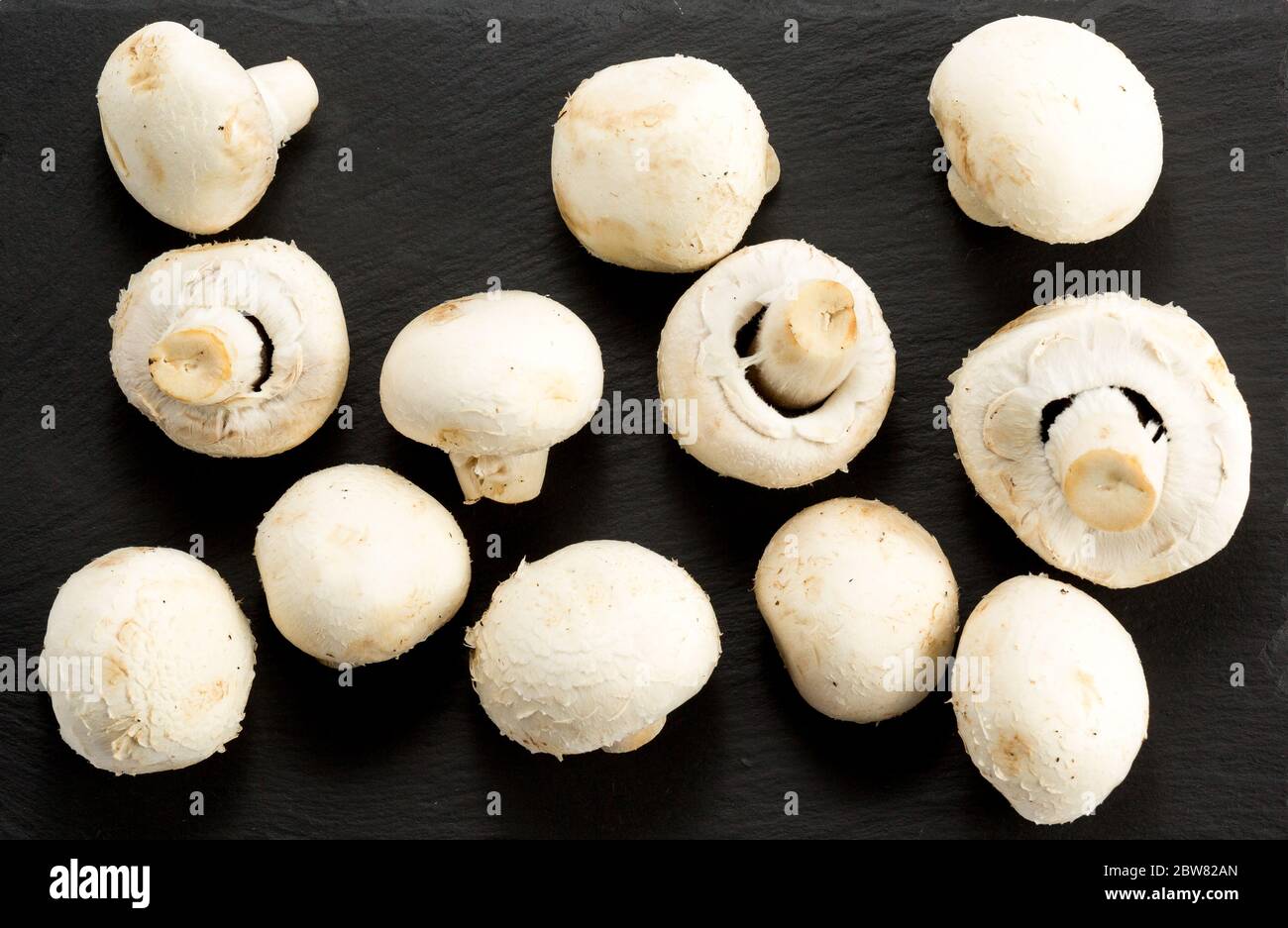 Mushrooms over black. Close Up Of Fresh Crimini Mushroom Against Black Background Stock Photo