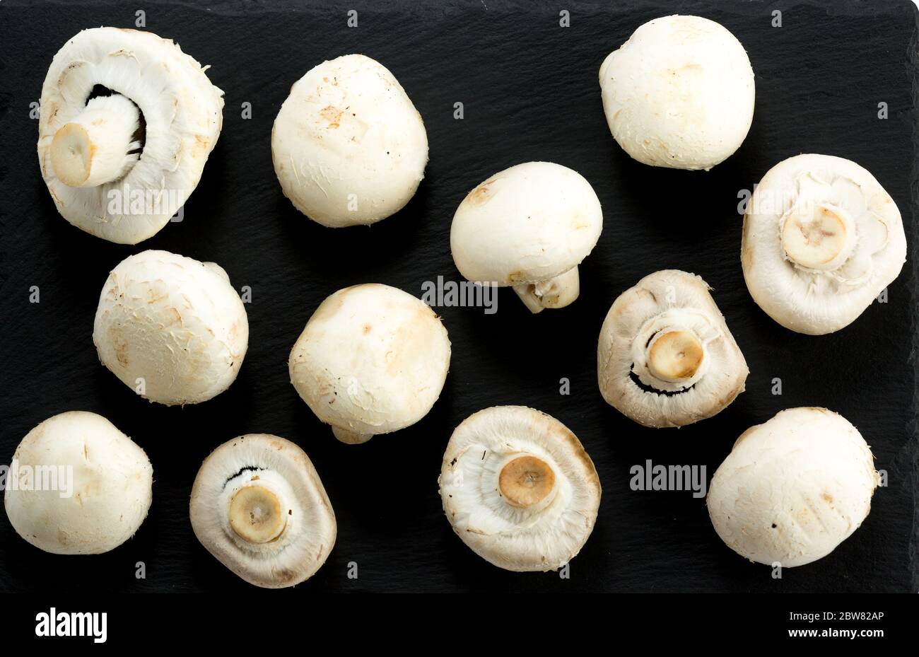 Mushrooms over black. Close Up Of Fresh Crimini Mushroom Against Black Background Stock Photo