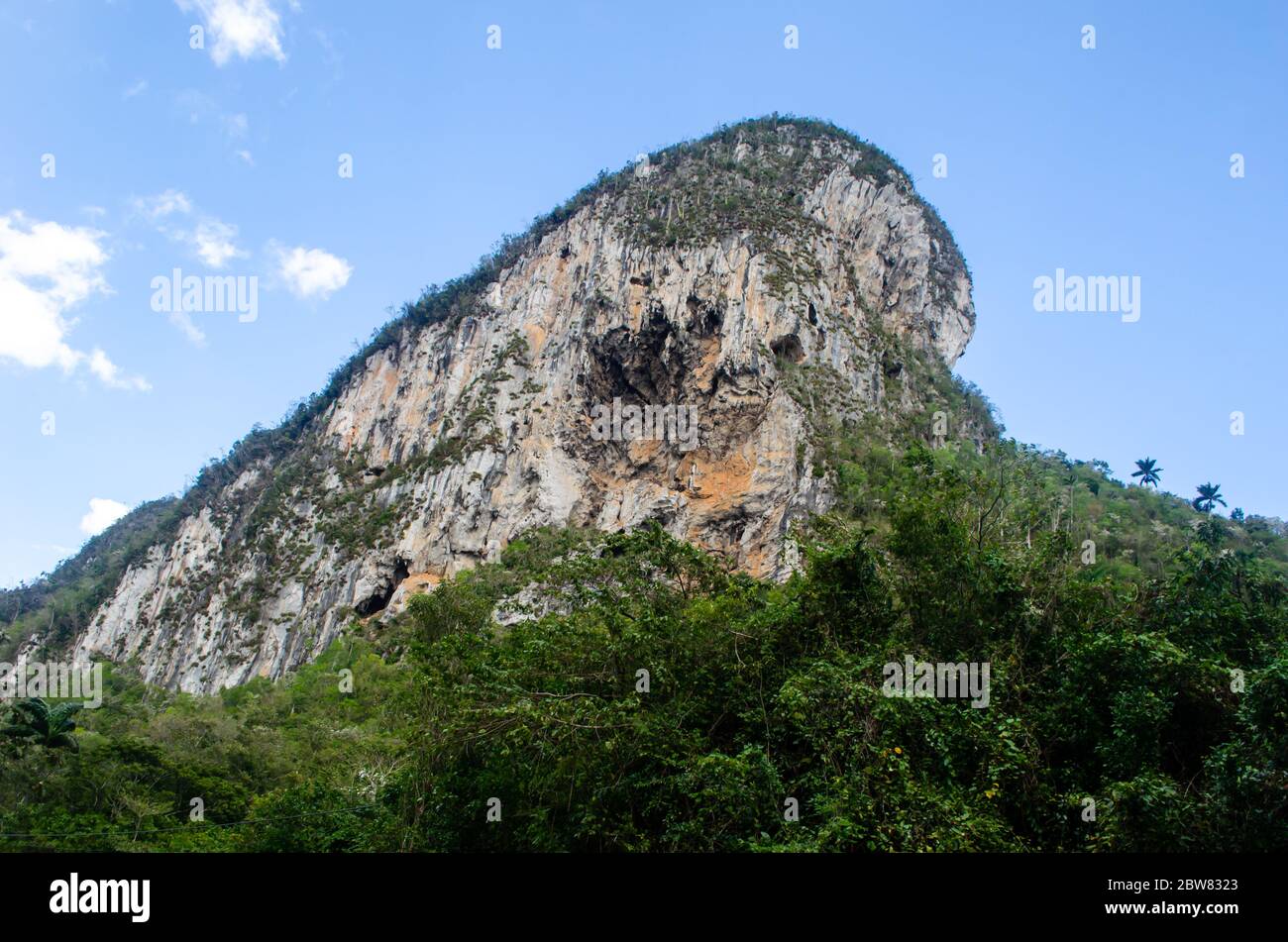 View of an impressive mogote in the Vinales Valley in Cuba Stock Photo