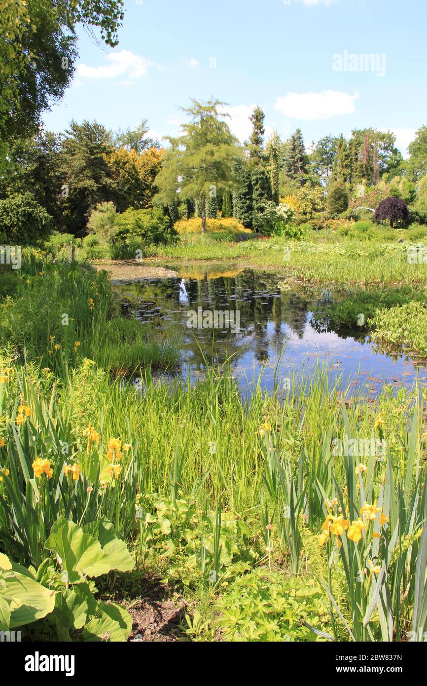 50 ponds in her garden hires stock photography and images Alamy