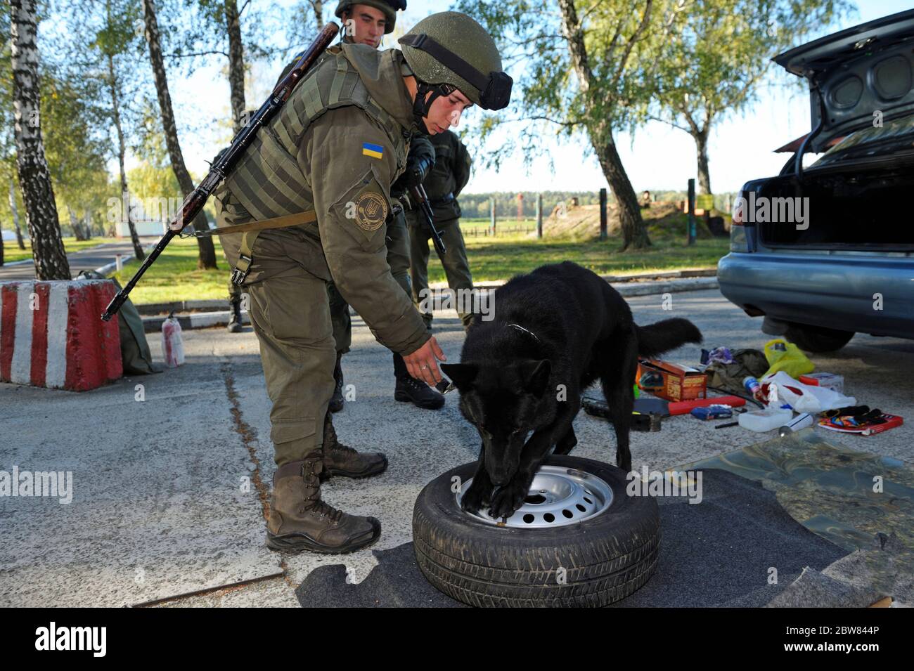 At the checkpoint, training. Military handler and a trained dog ...
