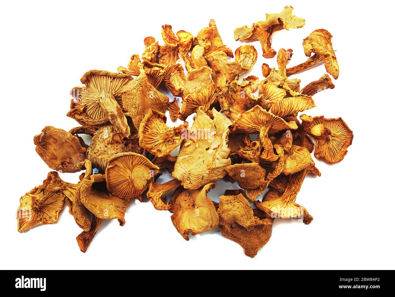 Dried chanterelles closeup on white background, isolated Stock Photo
