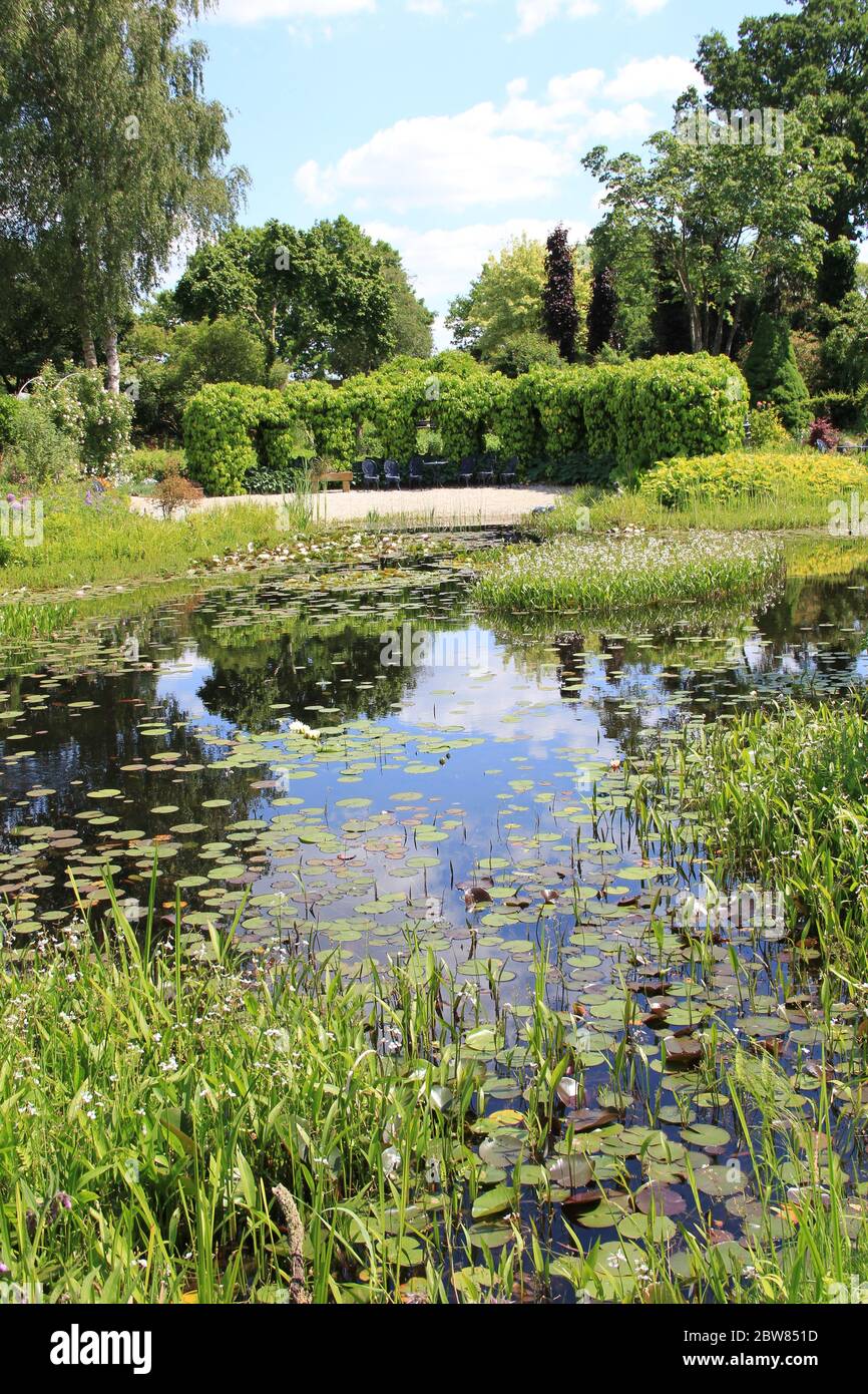 The Pond Gardens of Ada Hofman in Loozen, the Netherlands Stock Photo