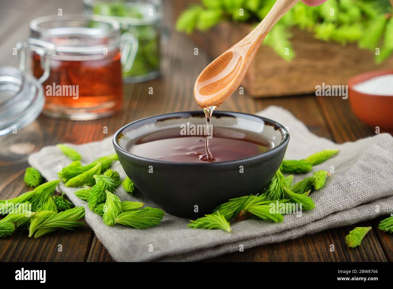 Cooked syrup or honey from spruce tips in a black bowl, jar of  jam or honey from fir buds and needles, twigs of fir tree on wooden table. Making spru Stock Photo
