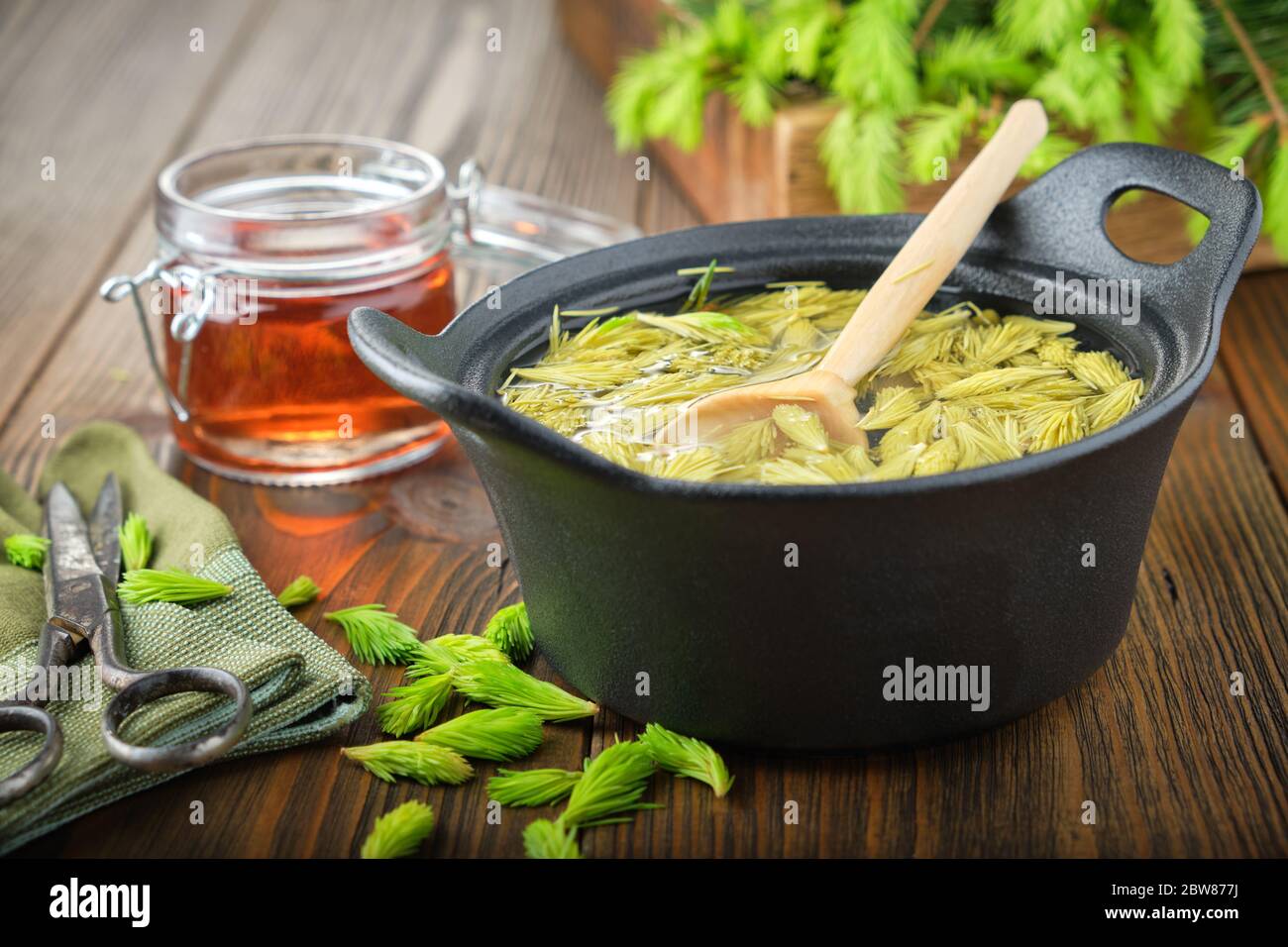 Cooked spruce tips in a black pan, jar of  honey or syrup from fir buds and needles, twigs of fir tree on wooden table. Making Spruce tips jam at home Stock Photo
