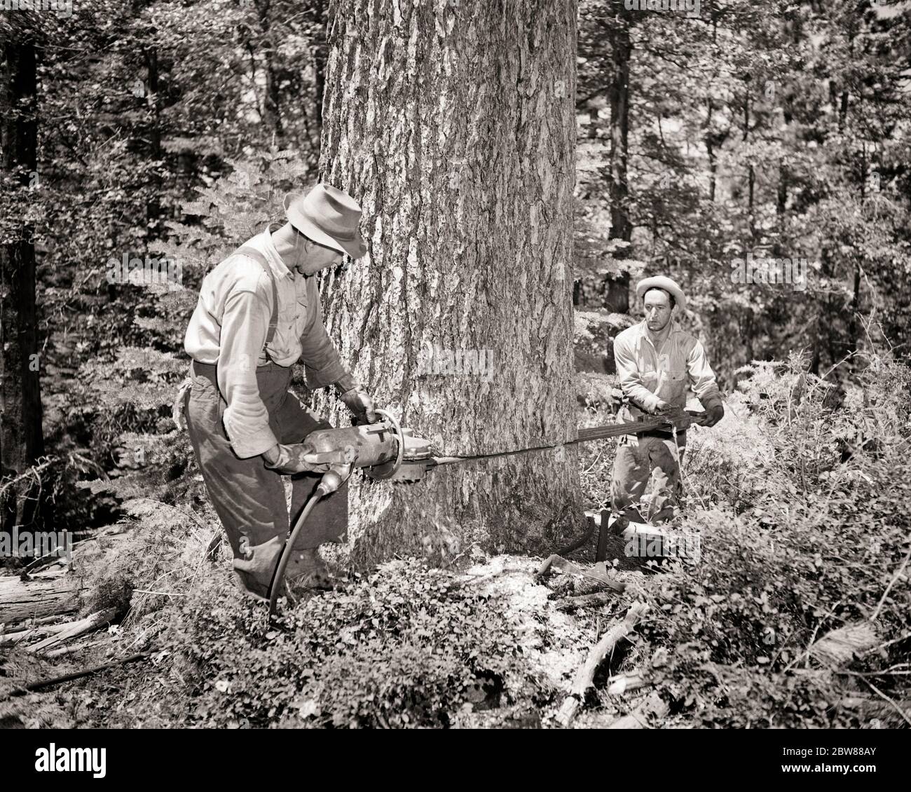 Lumber industry 1930's hires stock photography and images Alamy