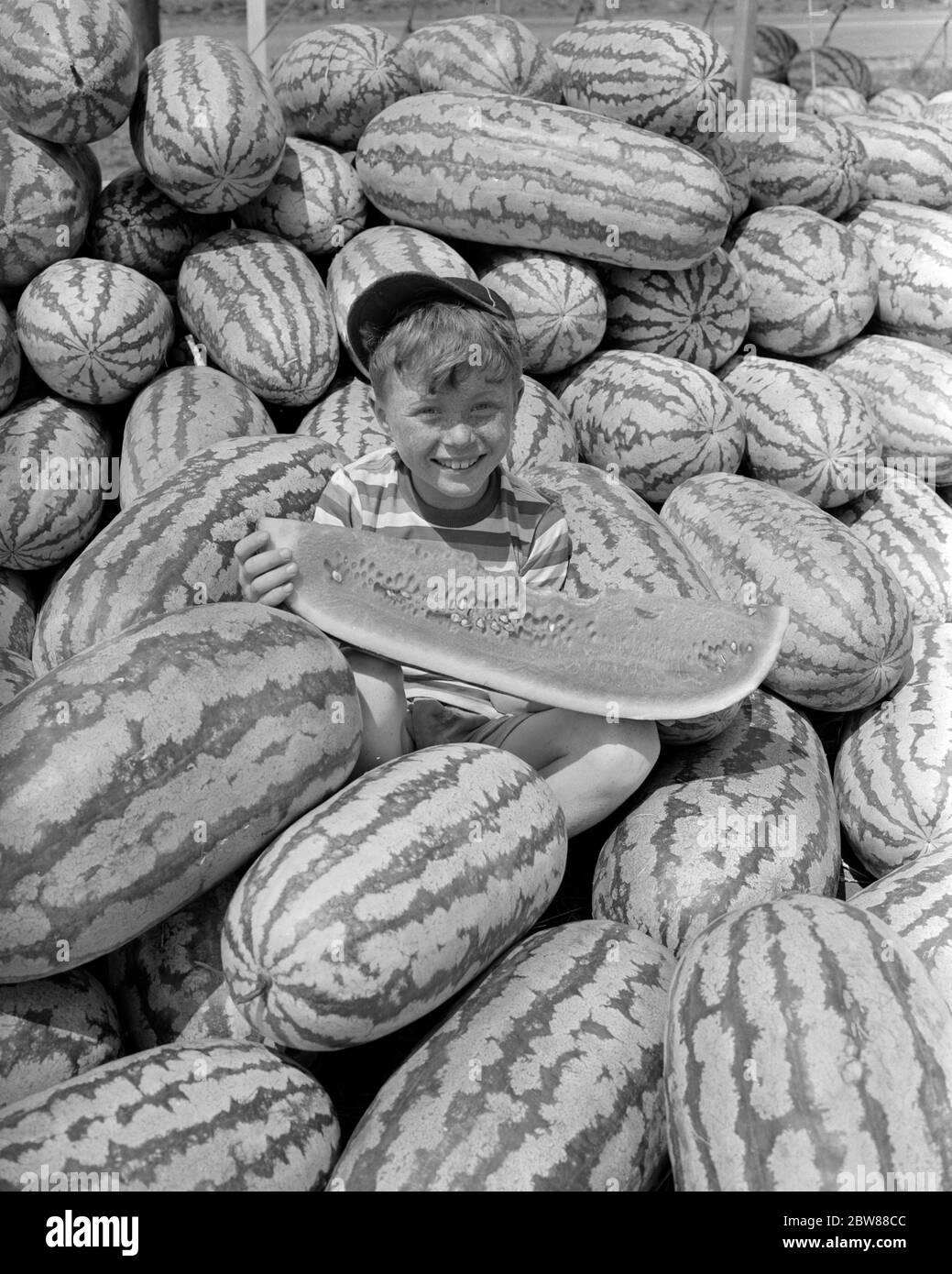 1940s 1950s SMILING BOY WEARING BALL CAP LOOKING AT CAMERA SITTING IN PILE OF WATERMELONS EATING A LARGE SLICE OF ONE - j11011 HEL001 HARS MULTIPLE OLD TIME ARCHIVE NOSTALGIA OLD FASHION 1 JUVENILE MANY COOL SNACK PLEASED JOY LIFESTYLE HEALTHINESS LUXURY UNITED STATES STRIPE PEOPLE CHILDREN UNITED STATES OF AMERICA MALES DESSERT SERENITY AMERICANA FOODS SNACK FOODS B&W BURIED BOUNTY SUCCESS SNACKS SLICE DREAMS HUNGRY HAPPINESS HEAD AND SHOULDERS ARCHIVAL SNACK FOOD CONTEST EXCITEMENT RECREATION REDHEAD A IN OF HUNGER SMILES WATERMELON MELON WATERMELONS GLUTTON BOUNTIFUL JOYFUL PRODUCE T-SHIRT Stock Photo