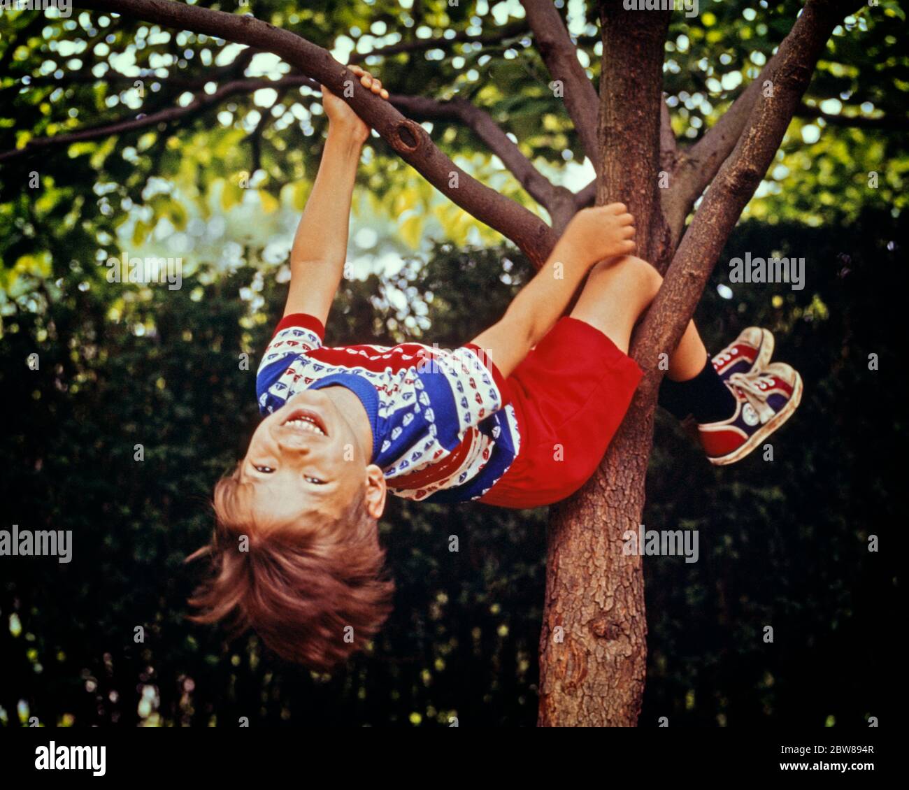 1970s RED HAIRED BOY WEARING RED SHORTS STRIPED TEE SHIRT RED SNEAKERS HANGING  UPSIDE DOWN SMILING IN TREE LOOKING AT CAMERA - kj6003 PHT001 HARS STRIPED  RURAL HEALTHINESS HOME LIFE TEE COPY