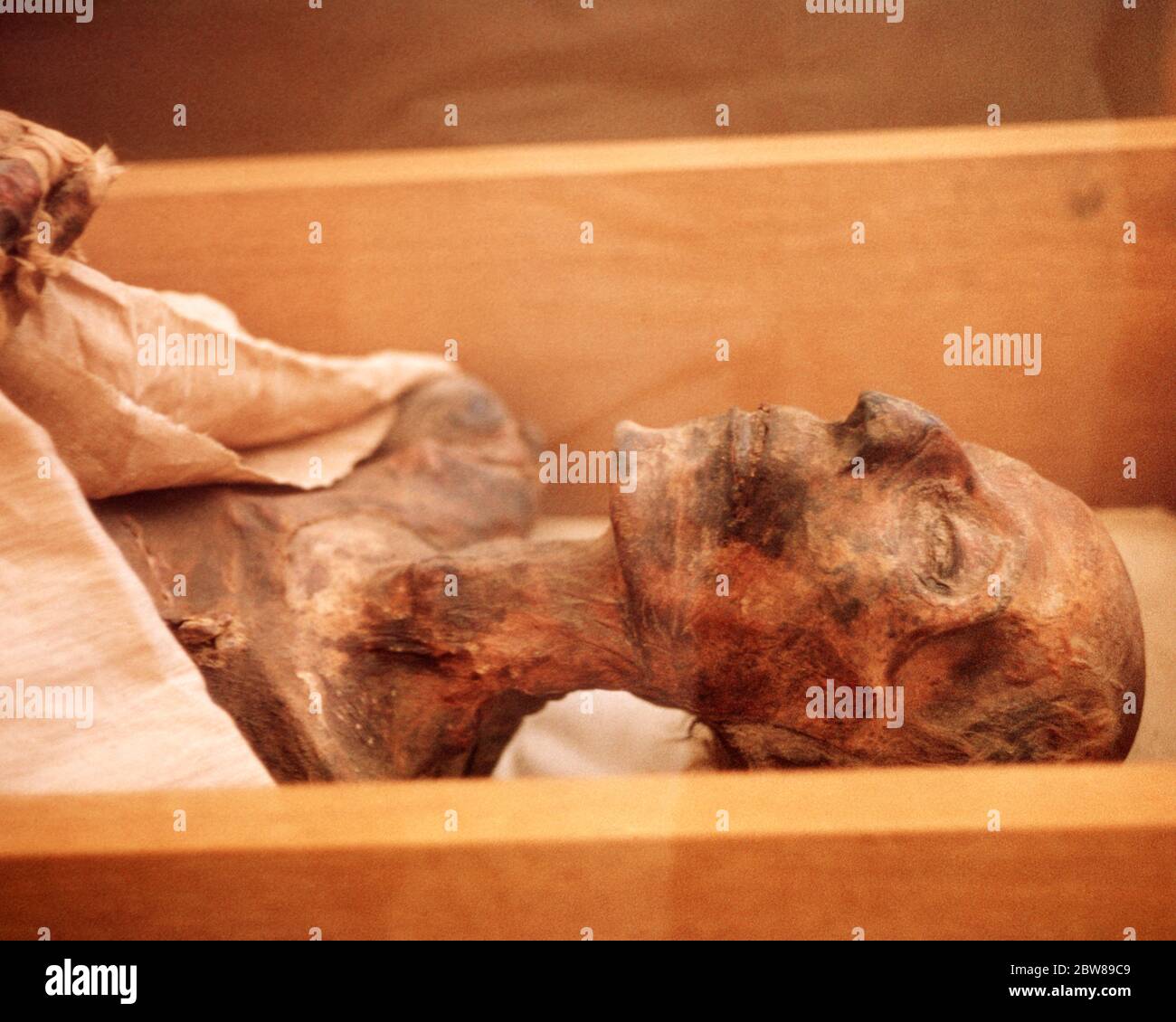 2000s EGYPTIAN MUMMY MAN UNWRAPPED LYING IN A WOOD BOX IN A MUSEUM DEAD PRESERVED HEAD NECK DEATH IMMORTALITY SCIENCE HISTORY  - kr26540 PHT001 HARS HEAD AND SHOULDERS EASTERN DEATH SCIENTIFIC OCCUPATIONS CONCEPTUAL STILL LIFE UNWRAPPED MUMMY RESORTS ETERNITY MIDDLE EAST MIDDLE EASTERN NORTH AFRICA NORTH AFRICAN OLD FASHIONED PRESERVED TRAVEL AFRICA Stock Photo