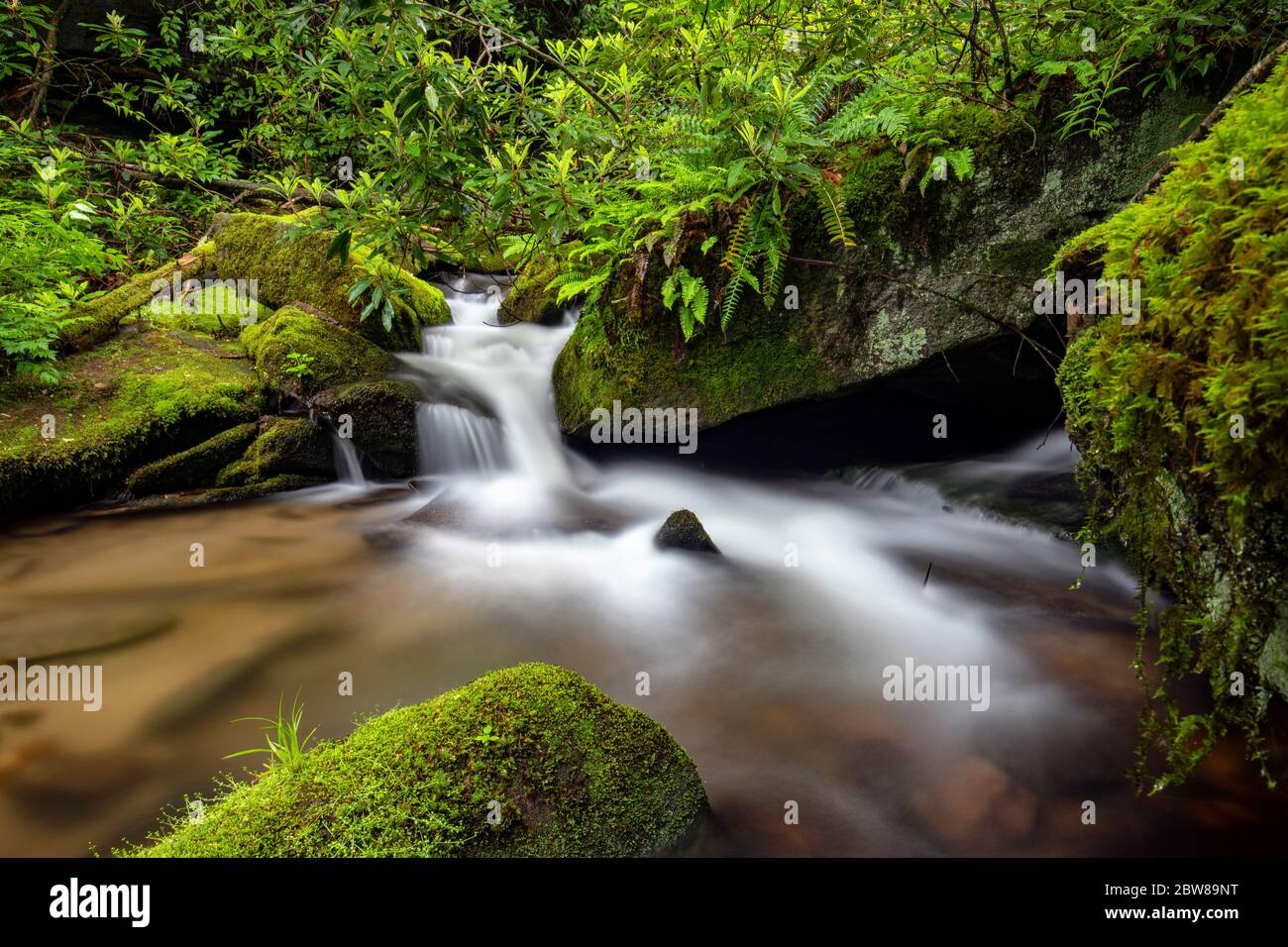 Cascade on Rockhouse Creek - Pisgah National Forest, Brevard, North Carolina, USA Stock Photo