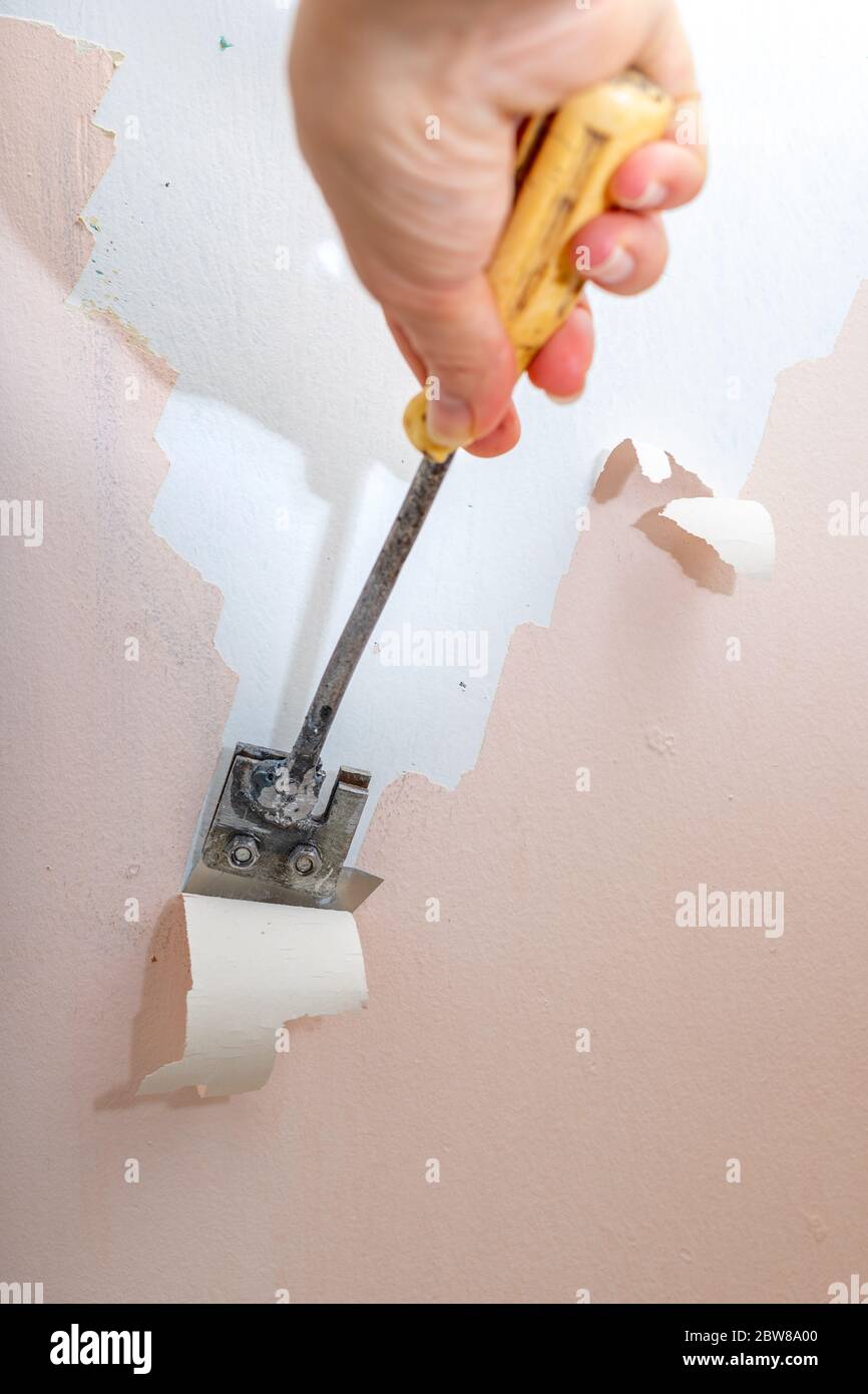 Peeling old latex paint off the wall. Using a scraper to renovate a bathroom. Place - renovation at home. Stock Photo