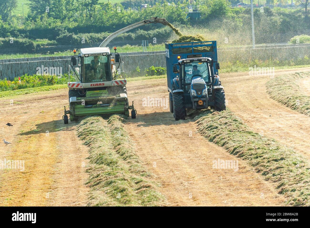 Claas mower hires stock photography and images Alamy