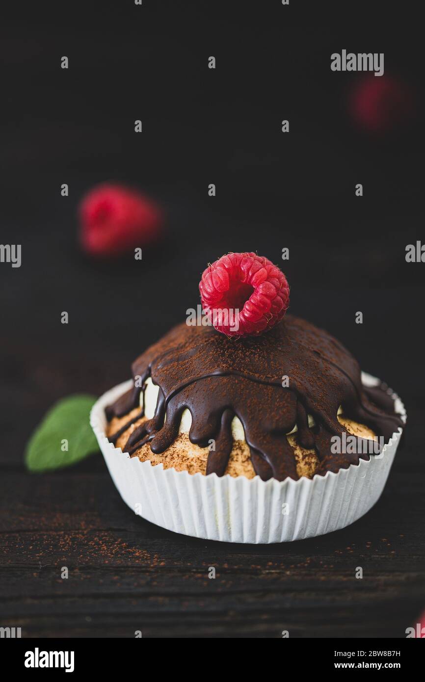 Raspberry Chocolate Cupcake Stock Photo