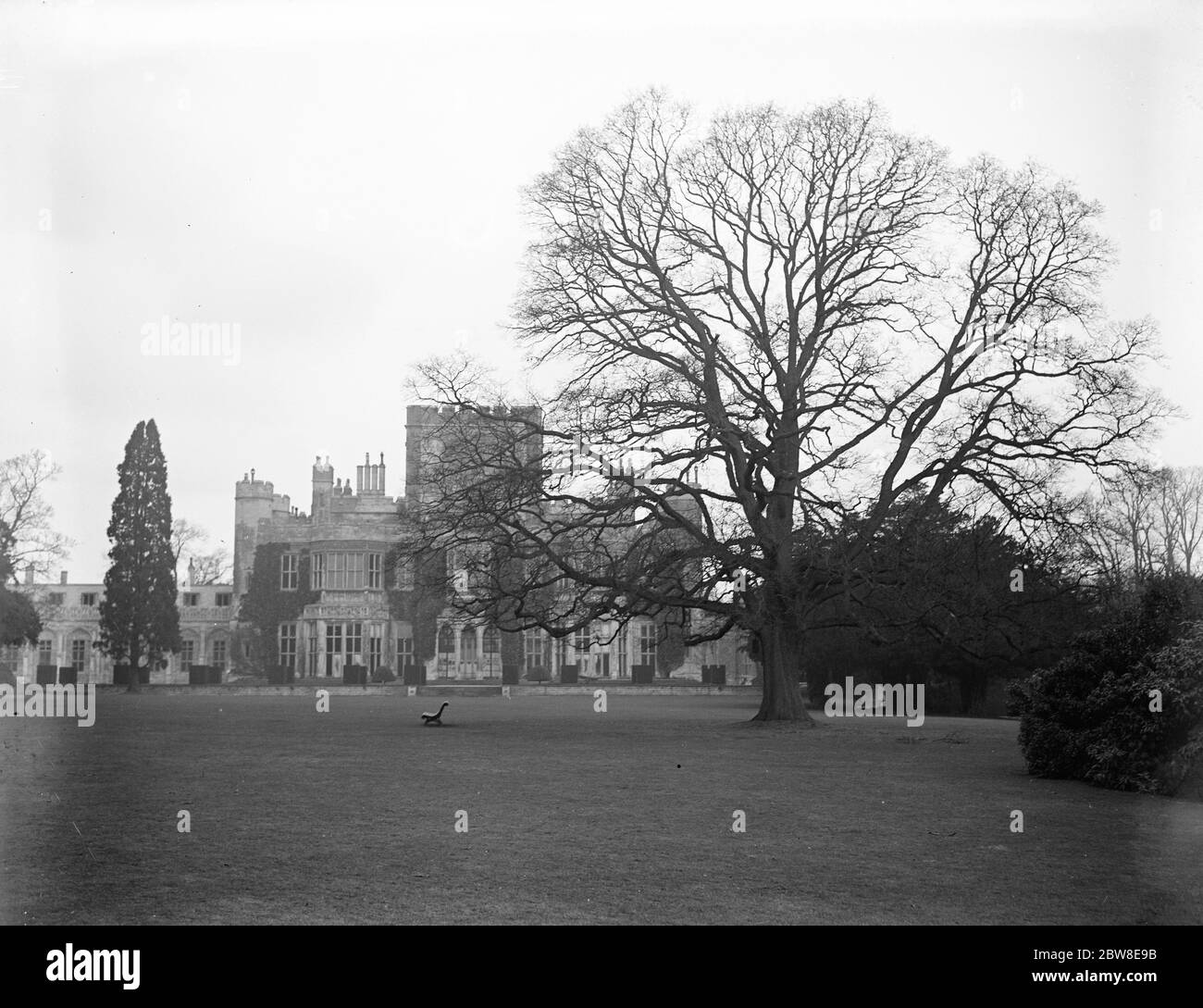 Ashridge House gardens to be opened to the public . 26 March 1929 Stock Photo