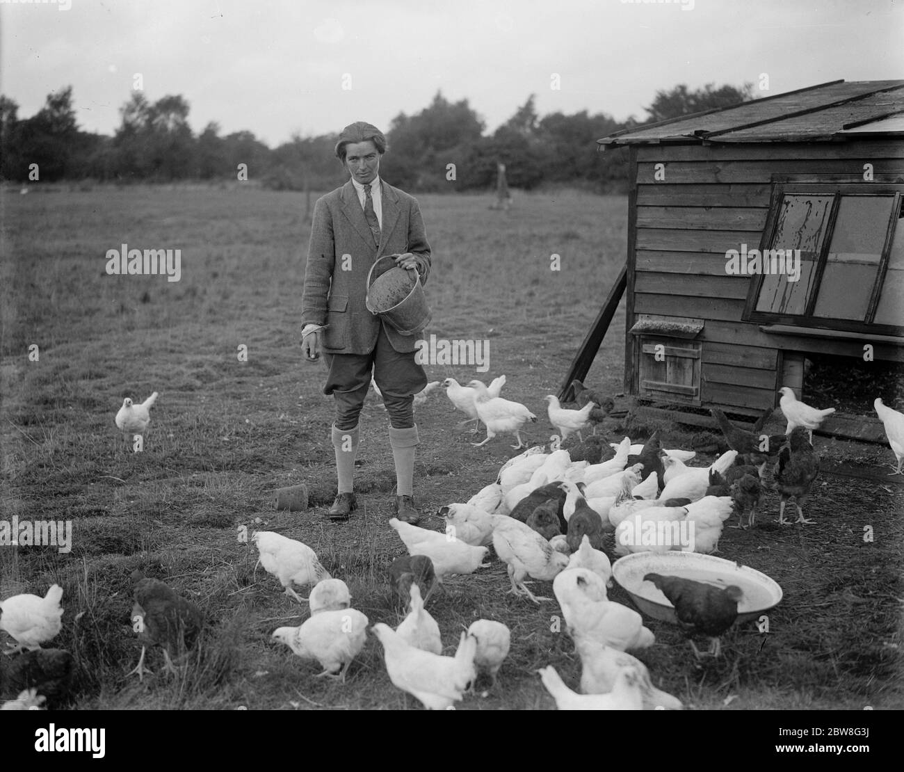 Chicken farm Black and White Stock Photos & Images - Alamy