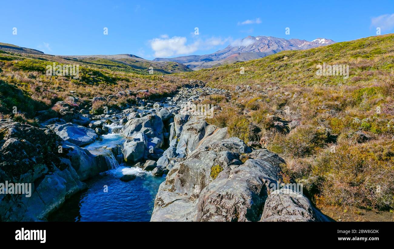 Rock guided stream running through the mountains in New Zealand Stock Photo