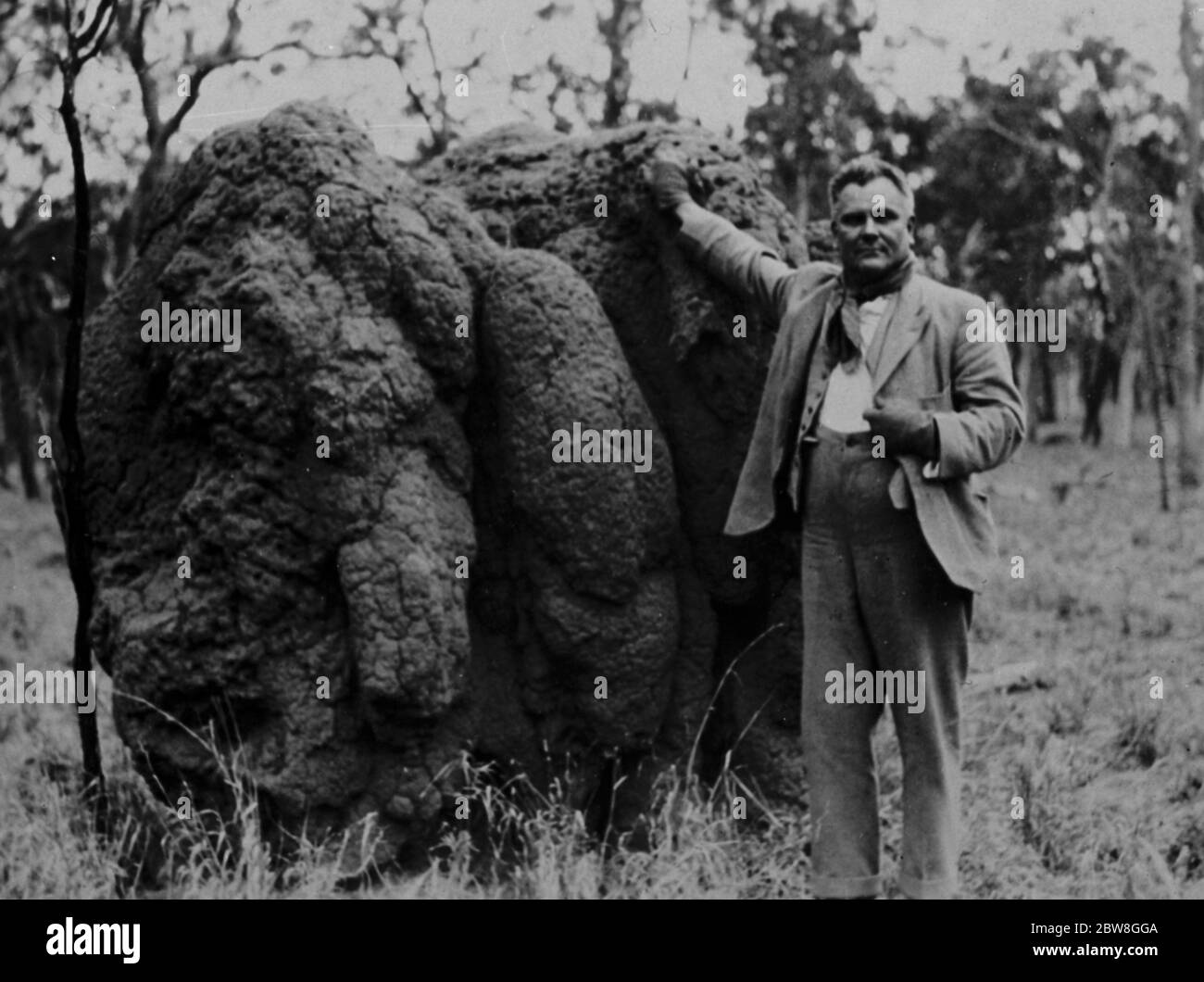 Noted Scottish author and giant ant hill . Mr Alexander MacDonald , FRGS , the well known Scottish traveller and author standing beside one of the monster ant hills characteristic of the Wandoo distruct . 23 February 1931 Stock Photo
