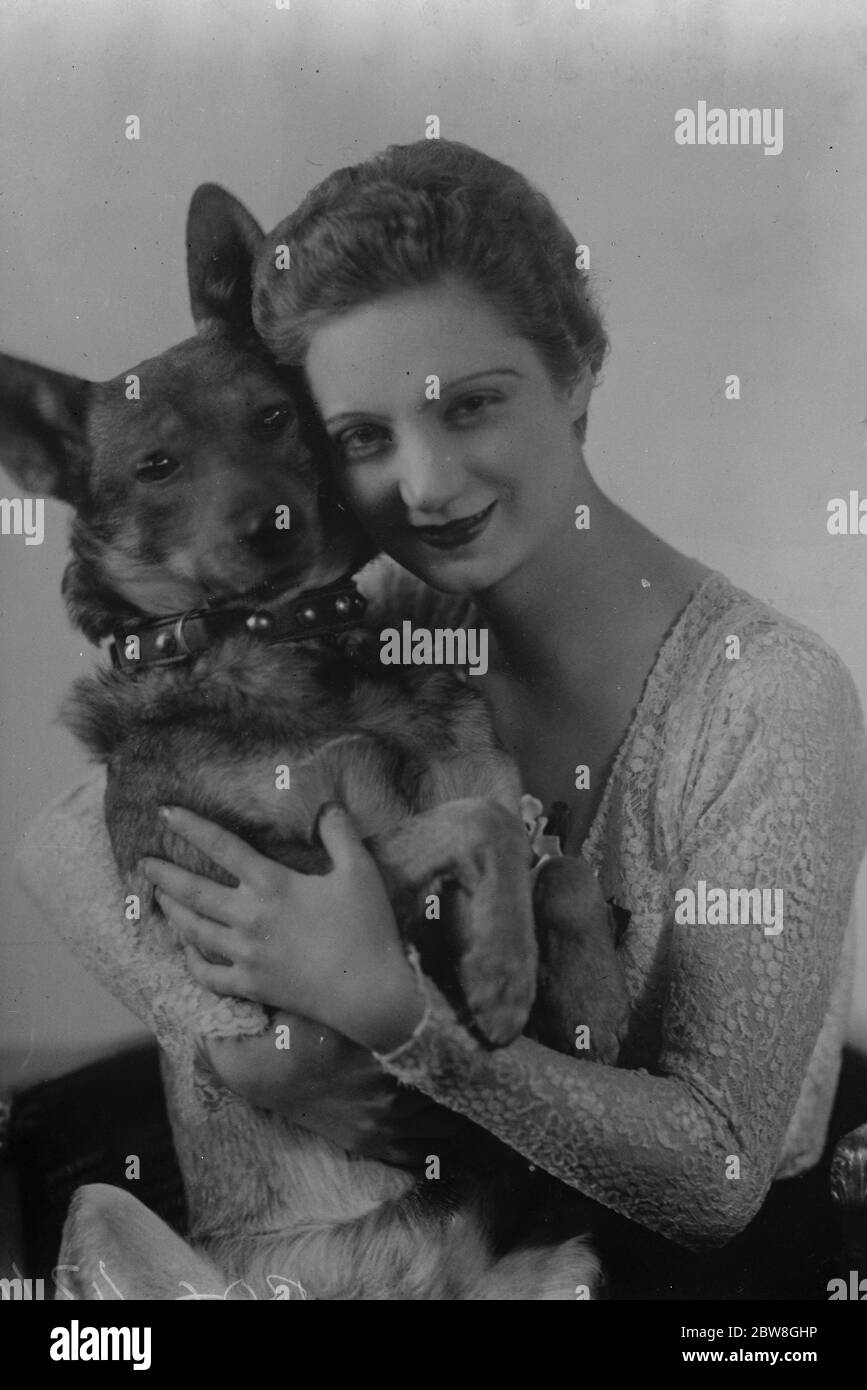 Miss Aileen McAlpine , a Scots girl on holiday in Italy , had her pet Sealyham run over by a car belonging to the Duke . The chauffeur took her name and address , and two days later the dog ( in picture ) was delivered to her hotel . Attached to its collar was Mussolini 's card , bearing the inscription  Homage and Apologies  . His name is  Benito  . 25 October 1933 Stock Photo