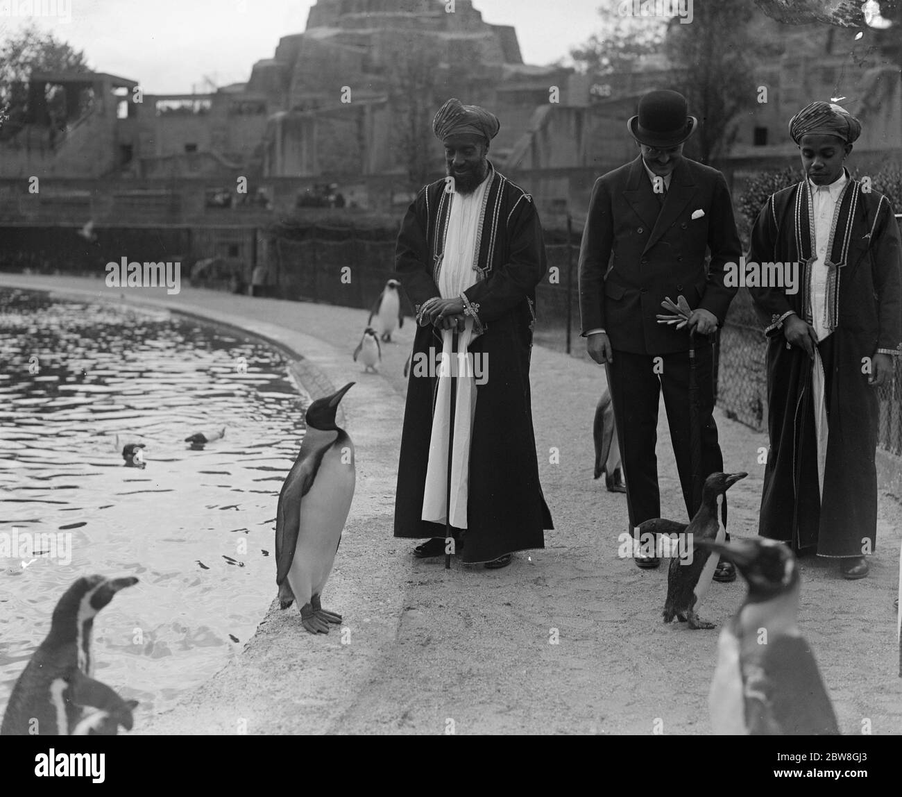 A King  and the Sultan . The Sultan of Zanzibar and the King Penguin at the Zoo . 3 June 1929 Stock Photo