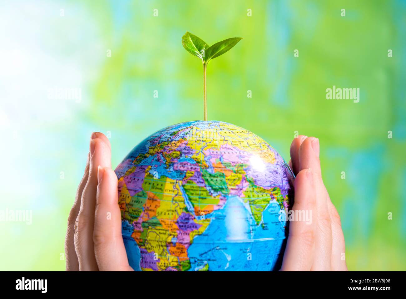 Hands holding earth globe tree in hi-res stock photography and images ...