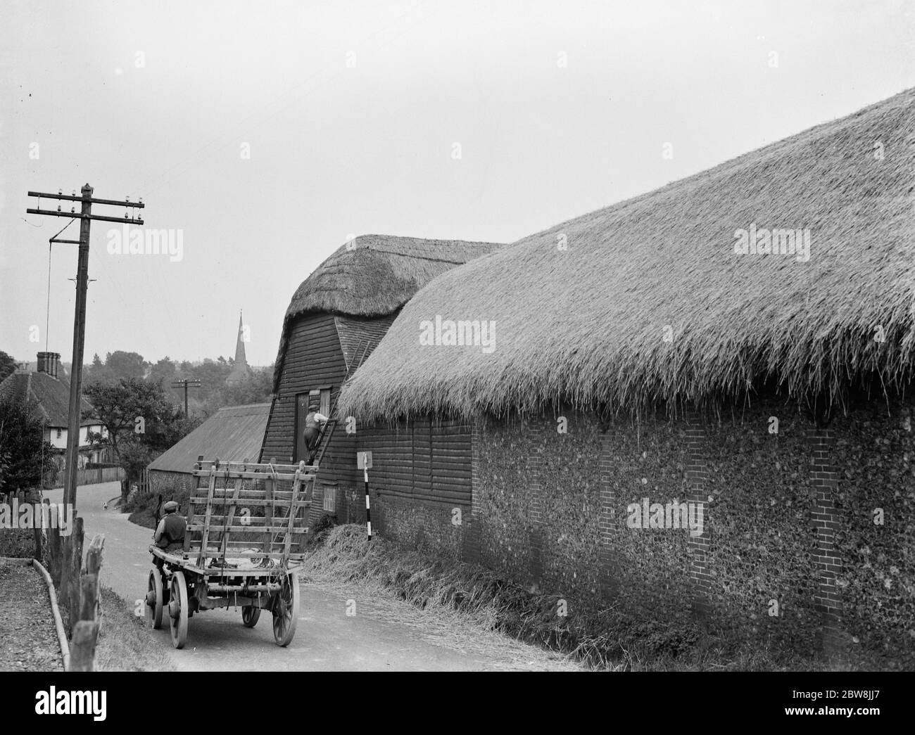 Thatching a roof in Eynsford . 1935 . Stock Photo