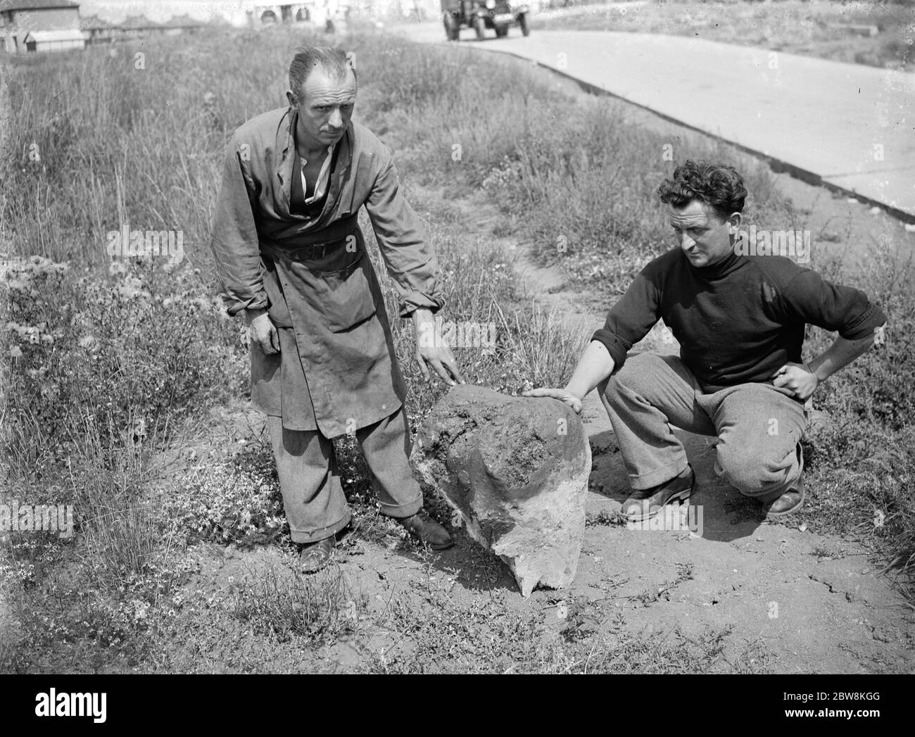 Large whale bone found by by H N Simpson . 1935 . Stock Photo