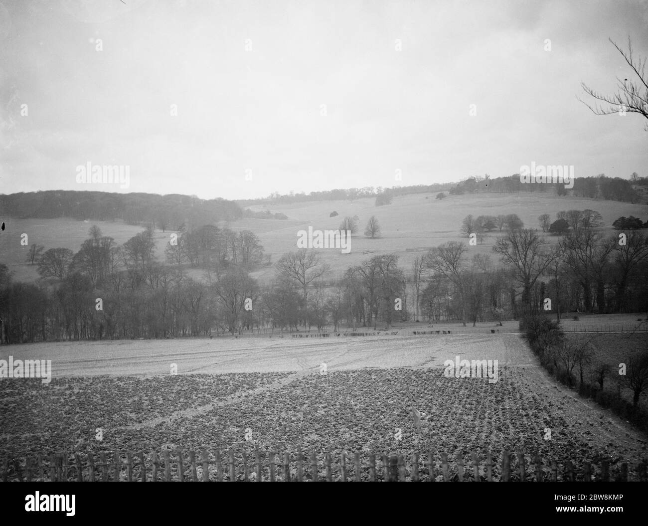 The view of the fields at Preston hill farm estate . 3 February 1938