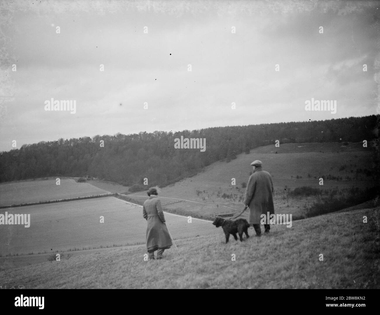 A farmer and his dog stands to view his fields at preston hill farm