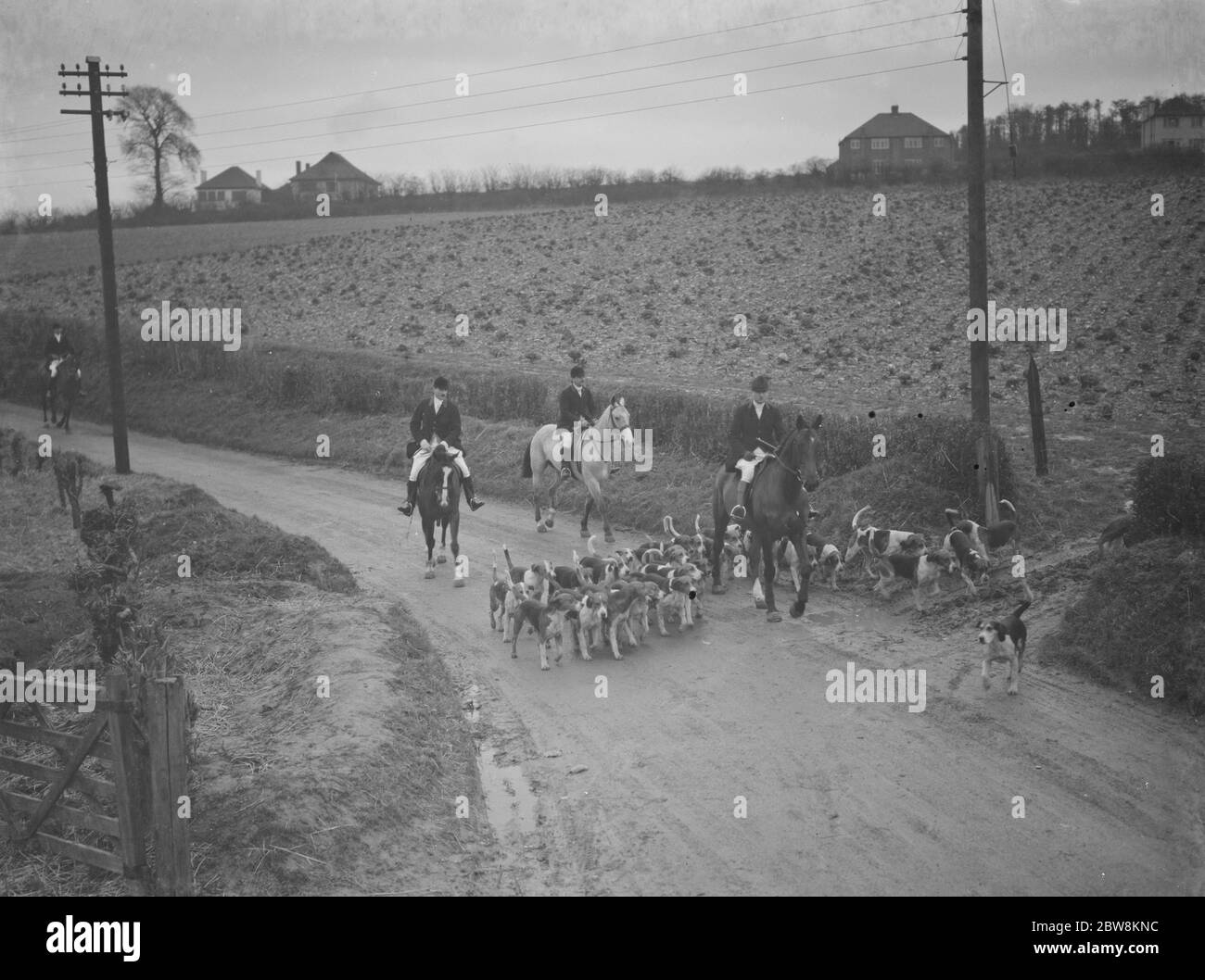 The huntsmen and their hounds follow the scent down the road . 31 January 1938 Stock Photo