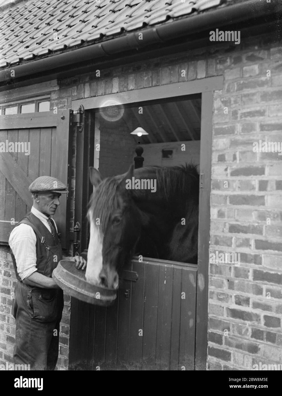 A farmer feeding his horse in the stable . 1935 Stock Photo