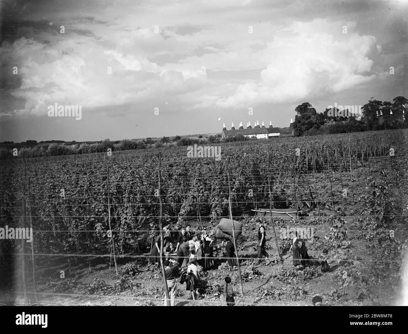 Hop pickers in the hop fields with the tops of the oast houses showing in the distance . 1935 Stock Photo