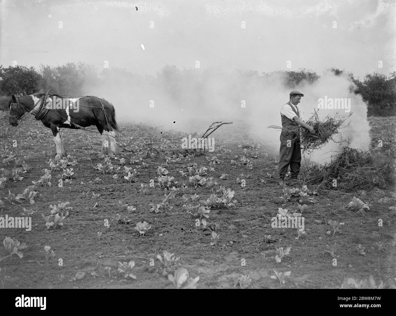 A farmer burning rubbish in a field .. 1935 Stock Photo
