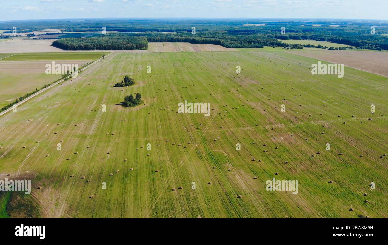 Summer wheat field after a harvest. Aerial view Stock Photo - Alamy