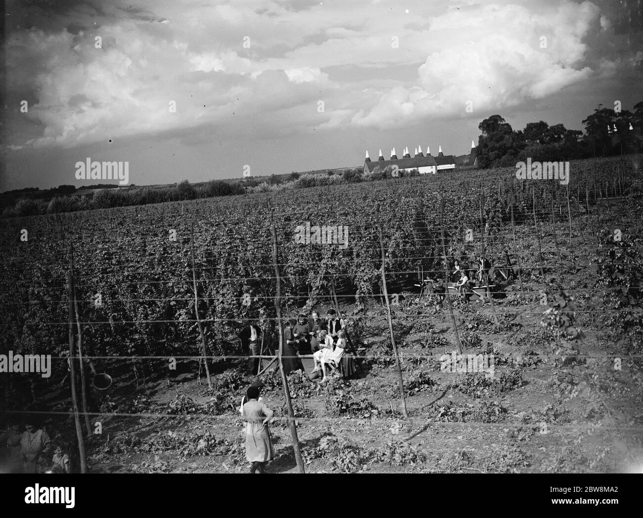 A view over hop fields showing the hop pickers and the oast houses in the distance . 1935 Stock Photo