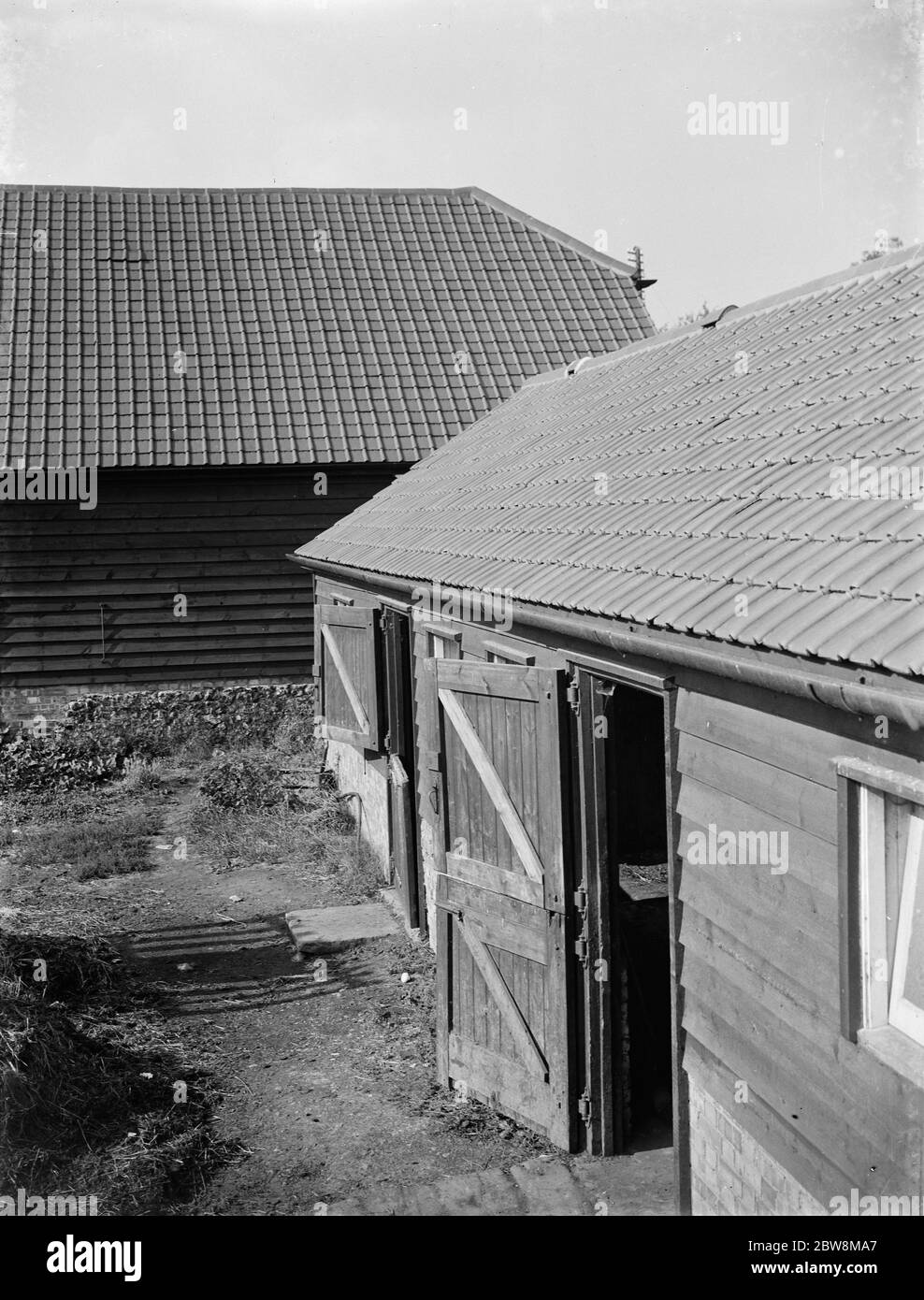 Newly tiled roofs on barns . 1935 Stock Photo