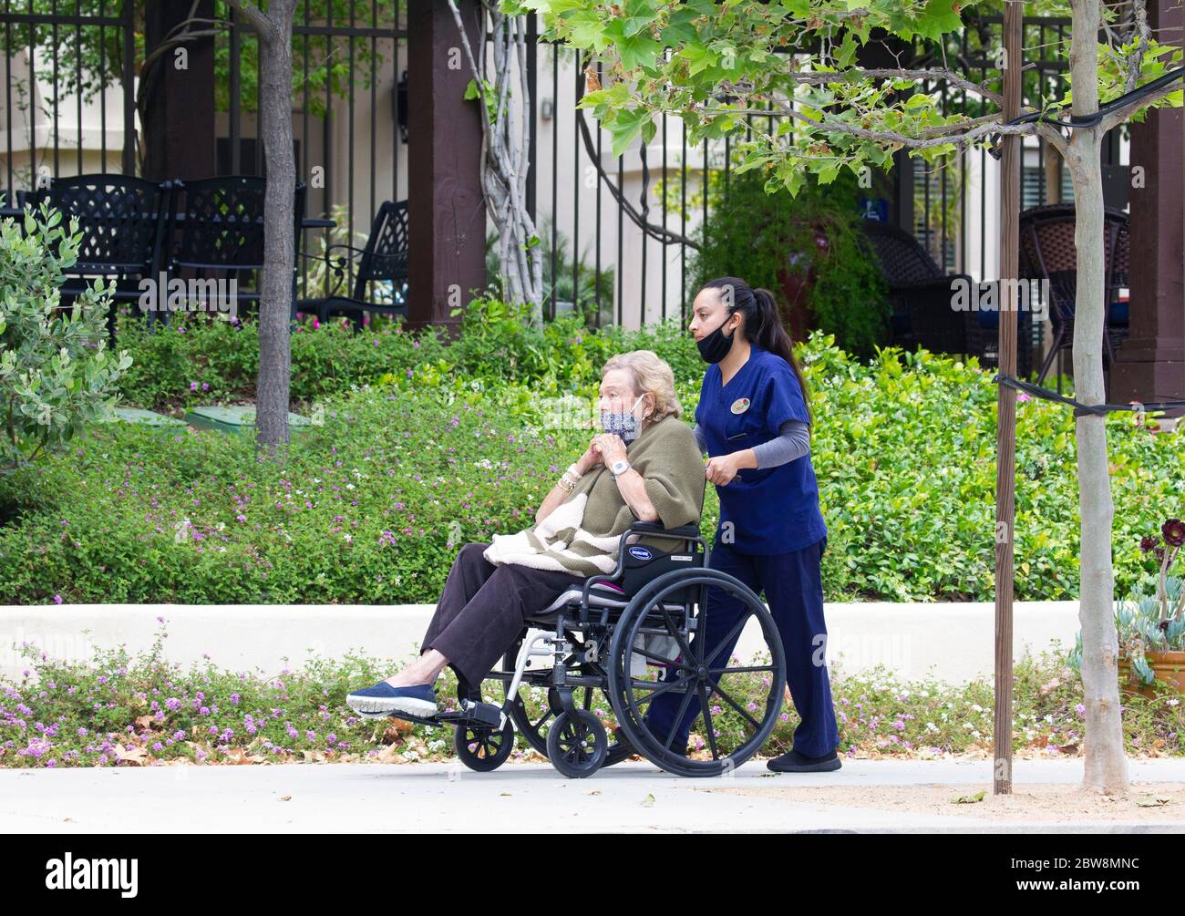 Nursing Home Attendant Pushing Elderly Client in Wheel Chair Stock Photo