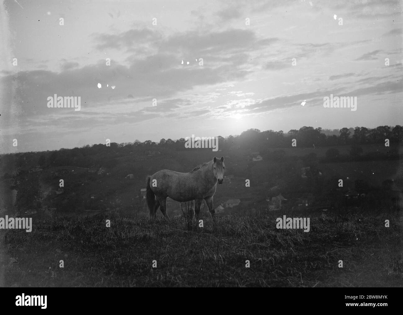 Archival hillside Black and White Stock Photos & Images - Alamy