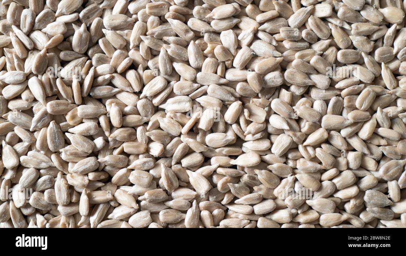 Scattered peeled sunflower seeds as background. Shelled sunflower seeds texture. Top view sunflower seeds closeup Stock Photo