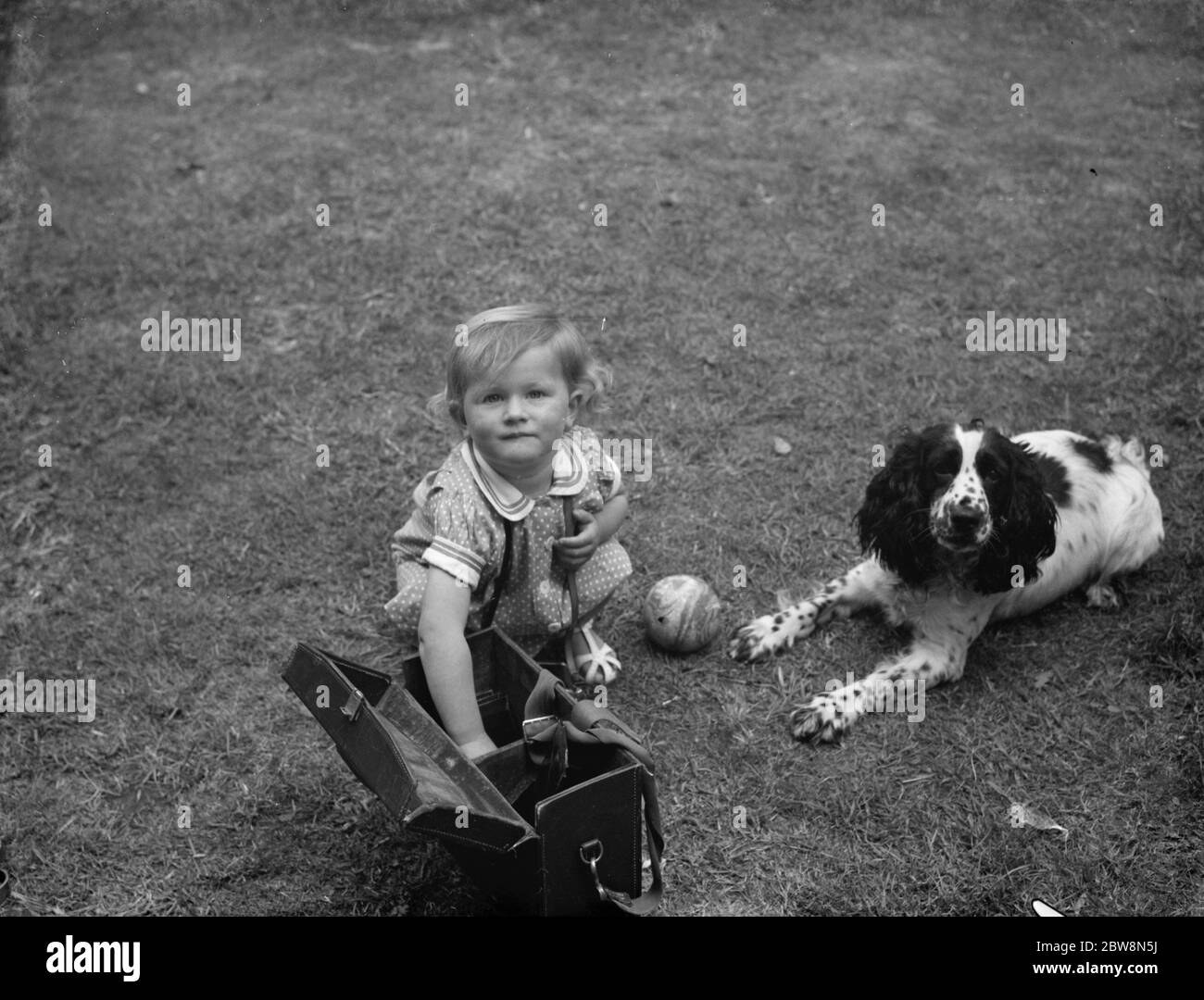 Baby Ann Mapstone plays with the dog . 30 June 1938 Stock Photo - Alamy