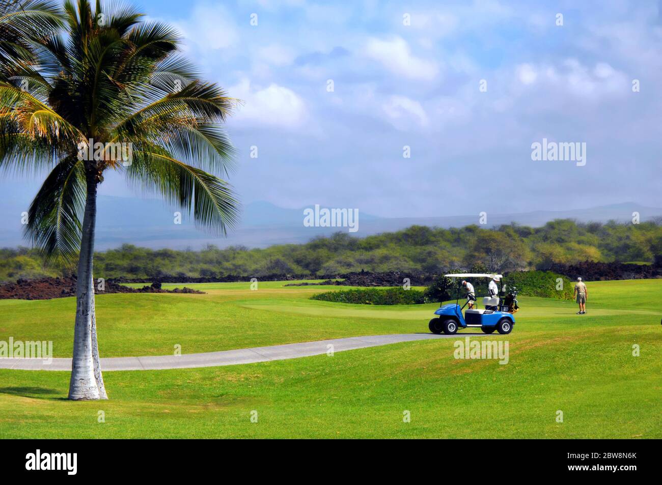 Group of retirees golf on the Big Island of Hawaii. Palm trees Group of retirees golf on the Big Island of Hawaii. Palm trees