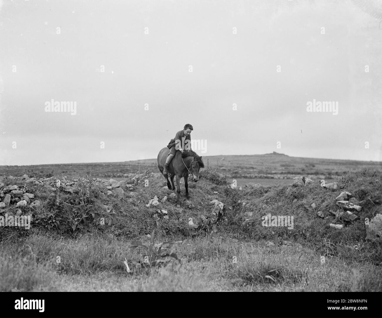 A young boy rides a horse bareback . 1936 . Stock Photo