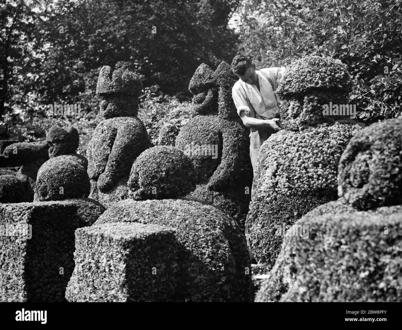 A groundsman trims the topiary figures at Hever Castle . 1938 Stock Photo