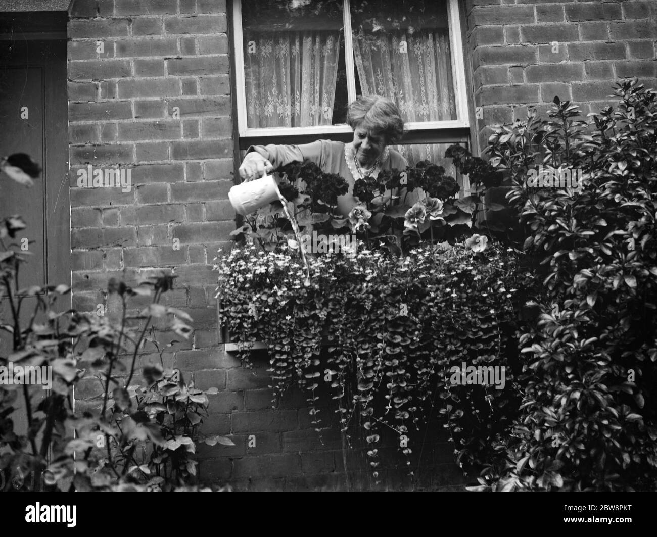 Mrs Annie Longhurst , window box prize winner at Crockenhill . 1938 Stock Photo