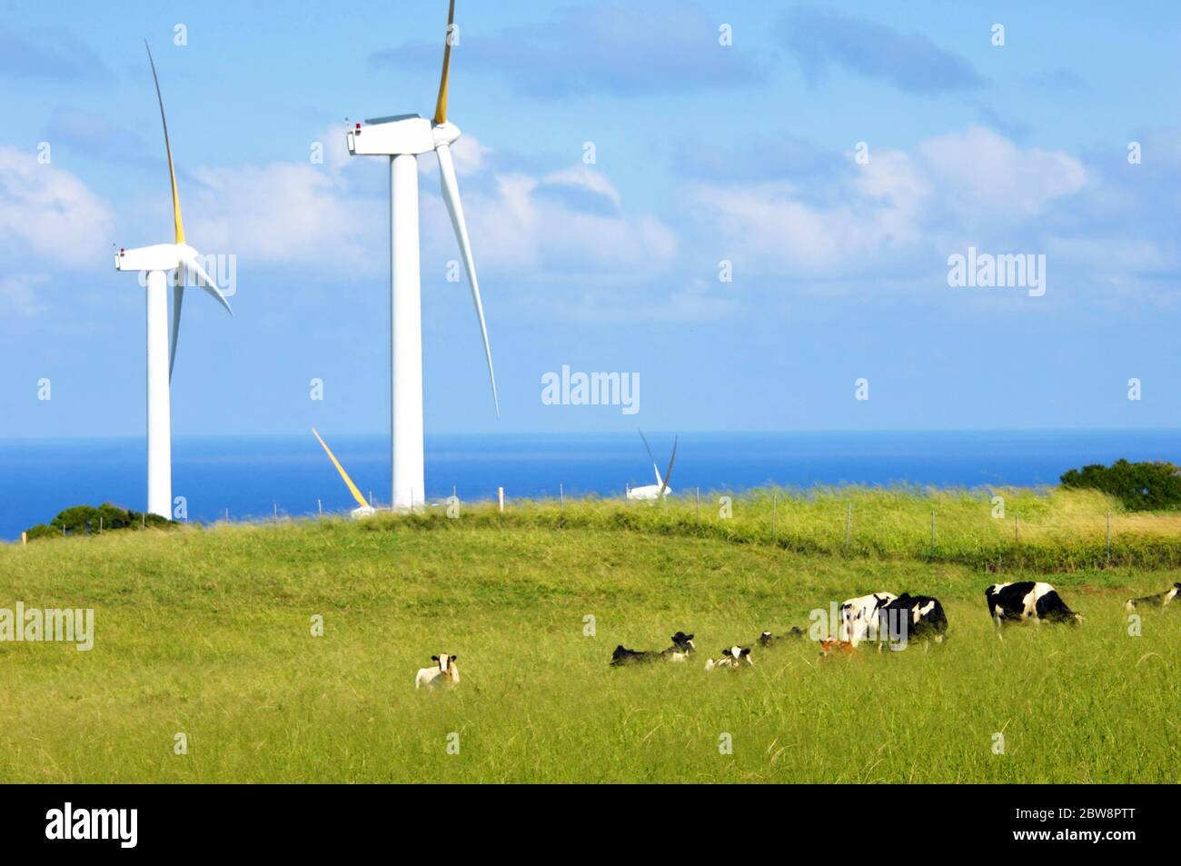Sustainable travel hawaii hi-res stock photography and images - Alamy