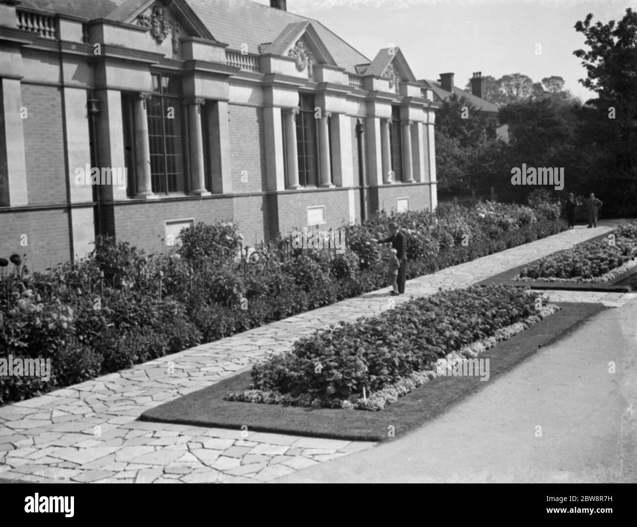 Dahlia beds at Dartford Central Park . 1936 Stock Photo