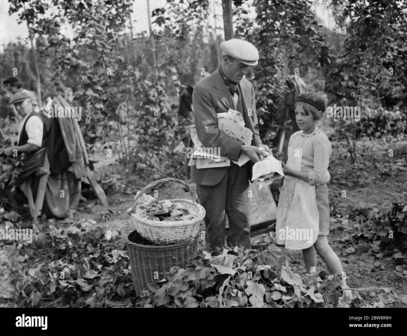 Hop pickers in East Peckham . Young and old helping in the hop field . 1 September 1938 . Stock Photo
