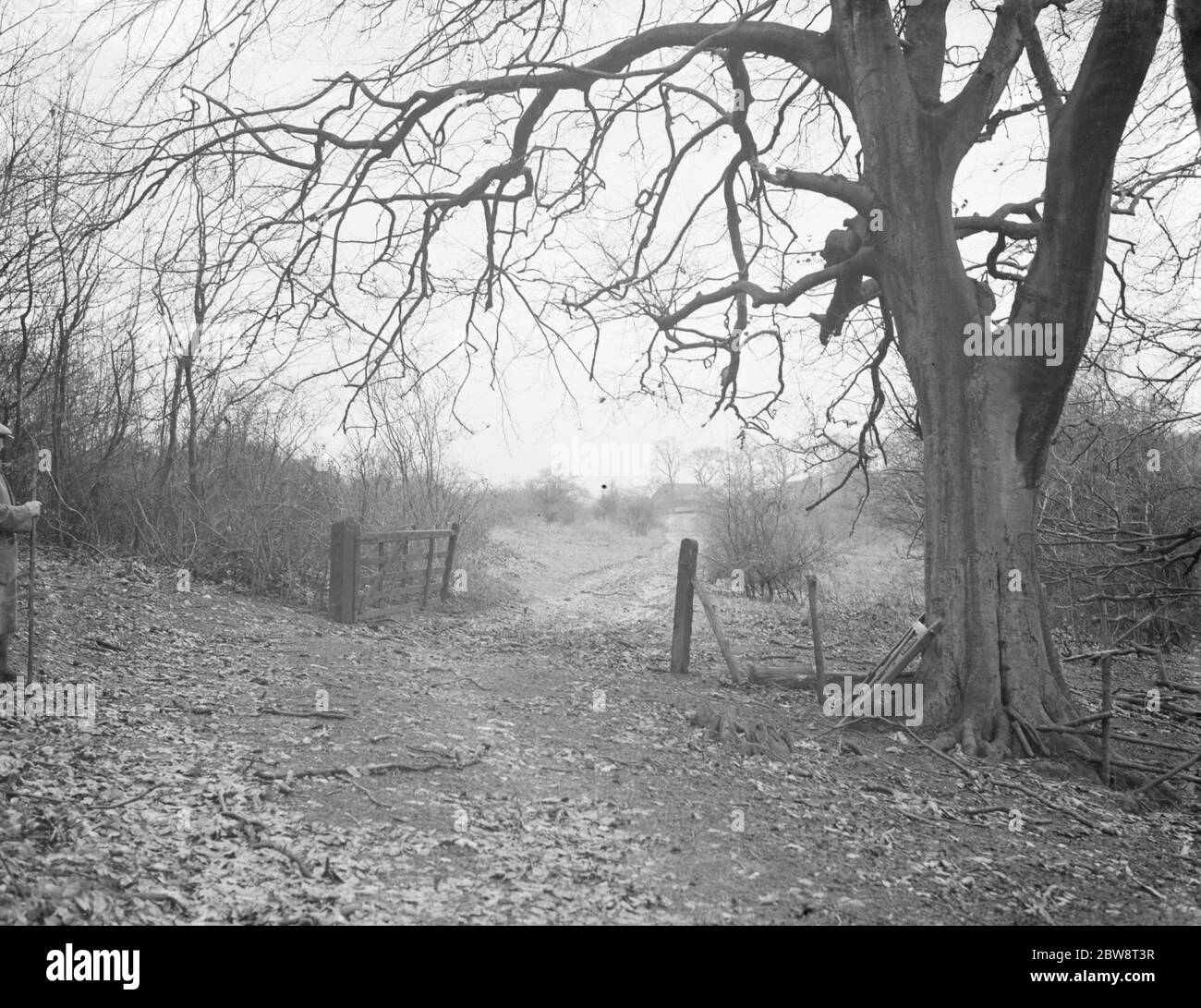 A rural scene on Preston Hill Farm Estate , Kent . 1938 Stock Photo Alamy