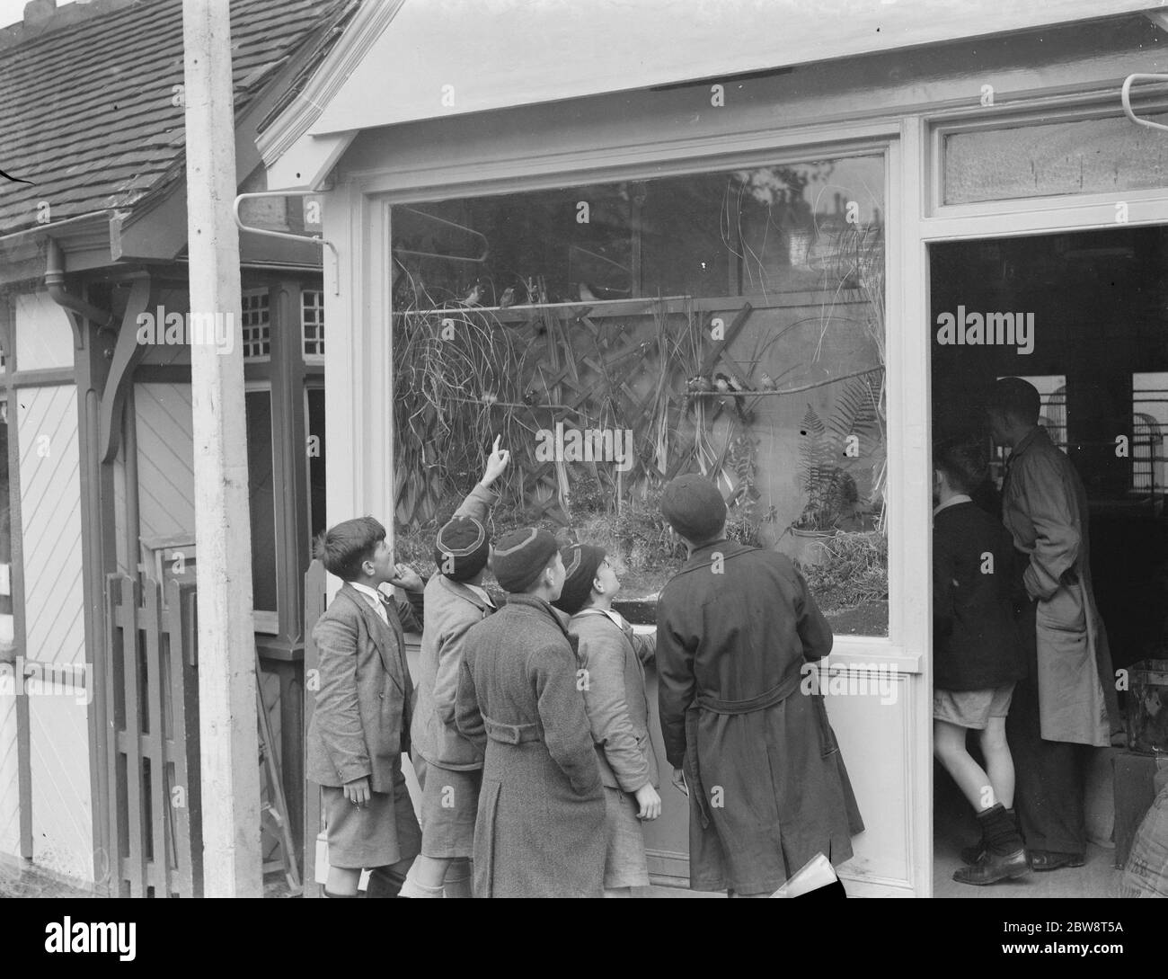 A bird shop on Station Approach in Sidcup , Kent . 1938 Stock Photo