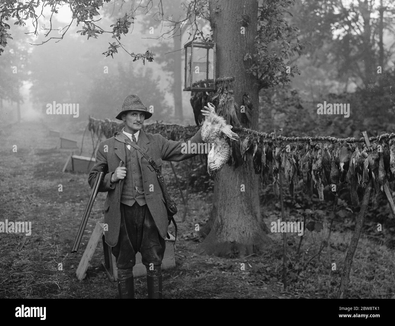 Gamekeeper , Mr Barrett , poses with a hawk he has killed . 1936 Stock Photo